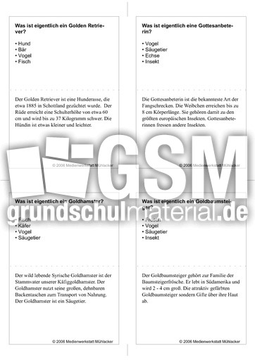 Quiz-Karten-Tiernamen 73.pdf